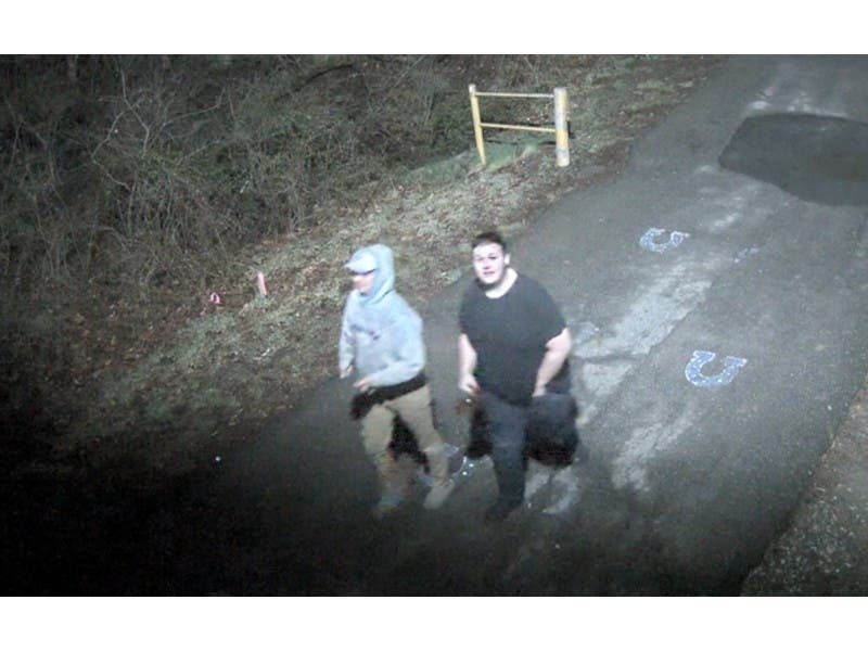 https://patch.com/img/cdn20/users/57041/20190403/113135/styles/raw/public/arson suspects cmw .jpg